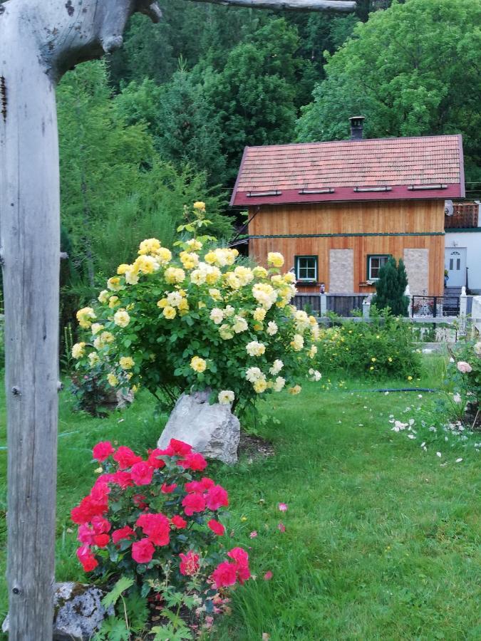 Georges Rast Villa Altaussee Eksteriør billede