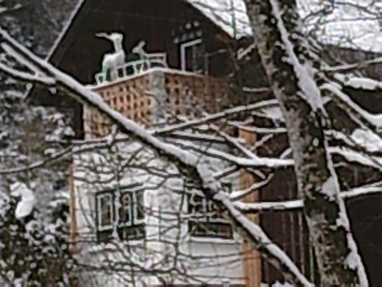 Georges Rast Villa Altaussee Eksteriør billede