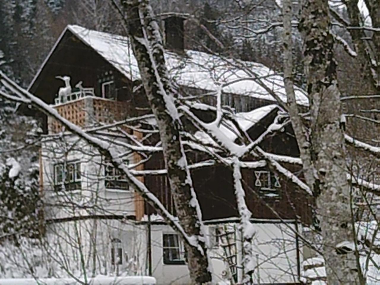 Georges Rast Villa Altaussee Eksteriør billede