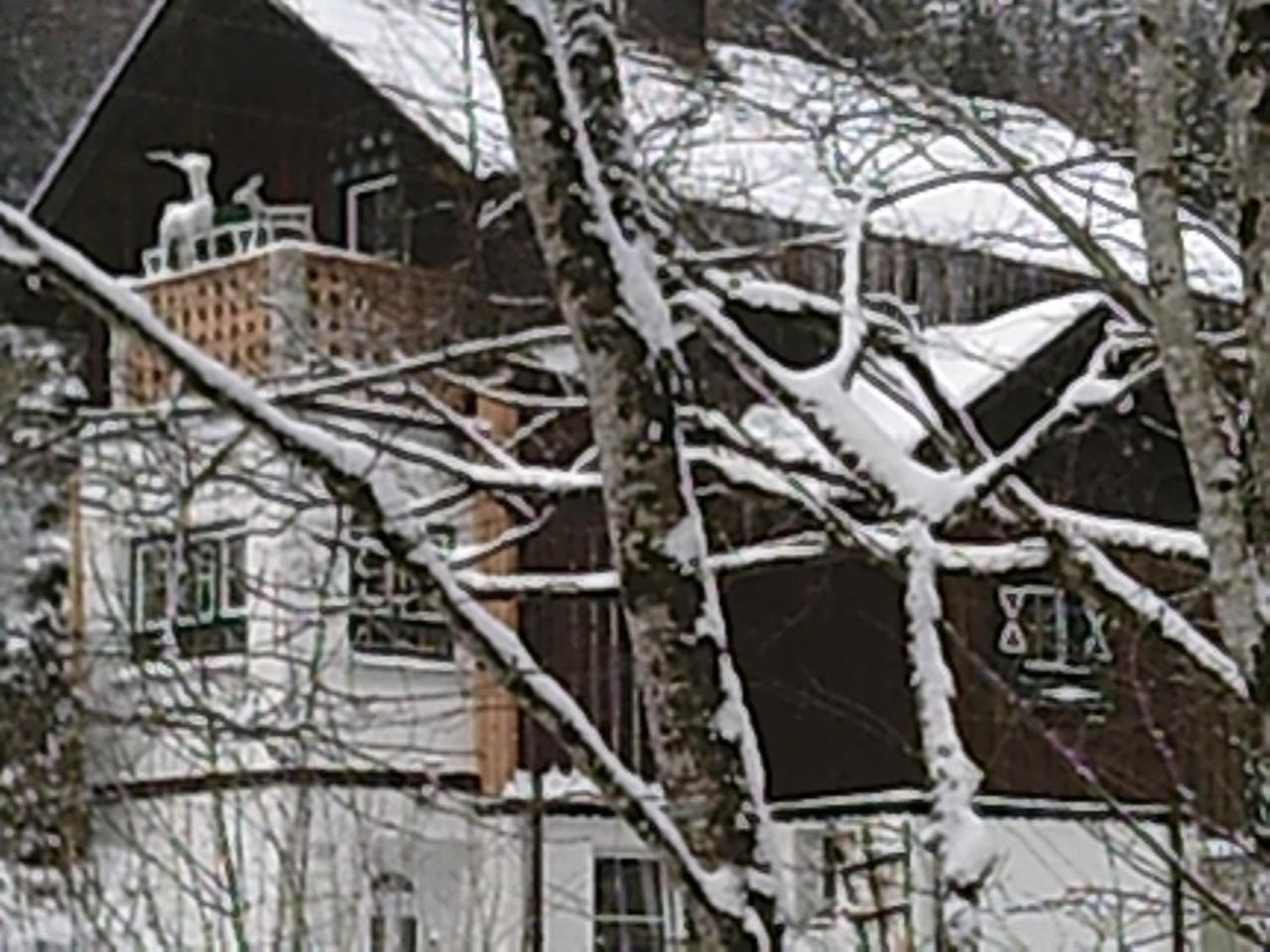 Georges Rast Villa Altaussee Eksteriør billede